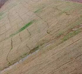 椰絲護坡生態草毯