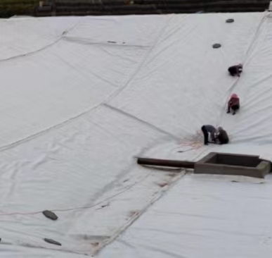 復(fù)合膜的功能與用途